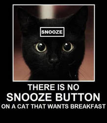 Theres no snooze button