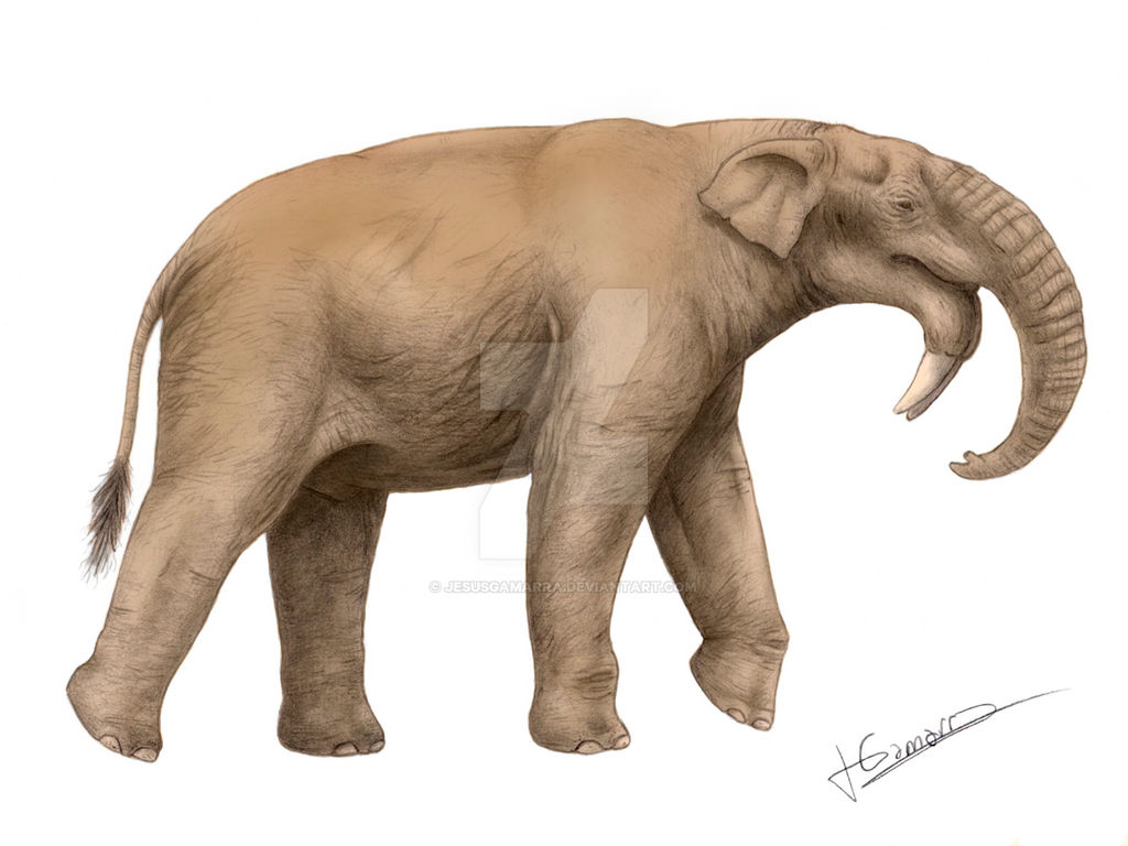 Deinotherium bozasi