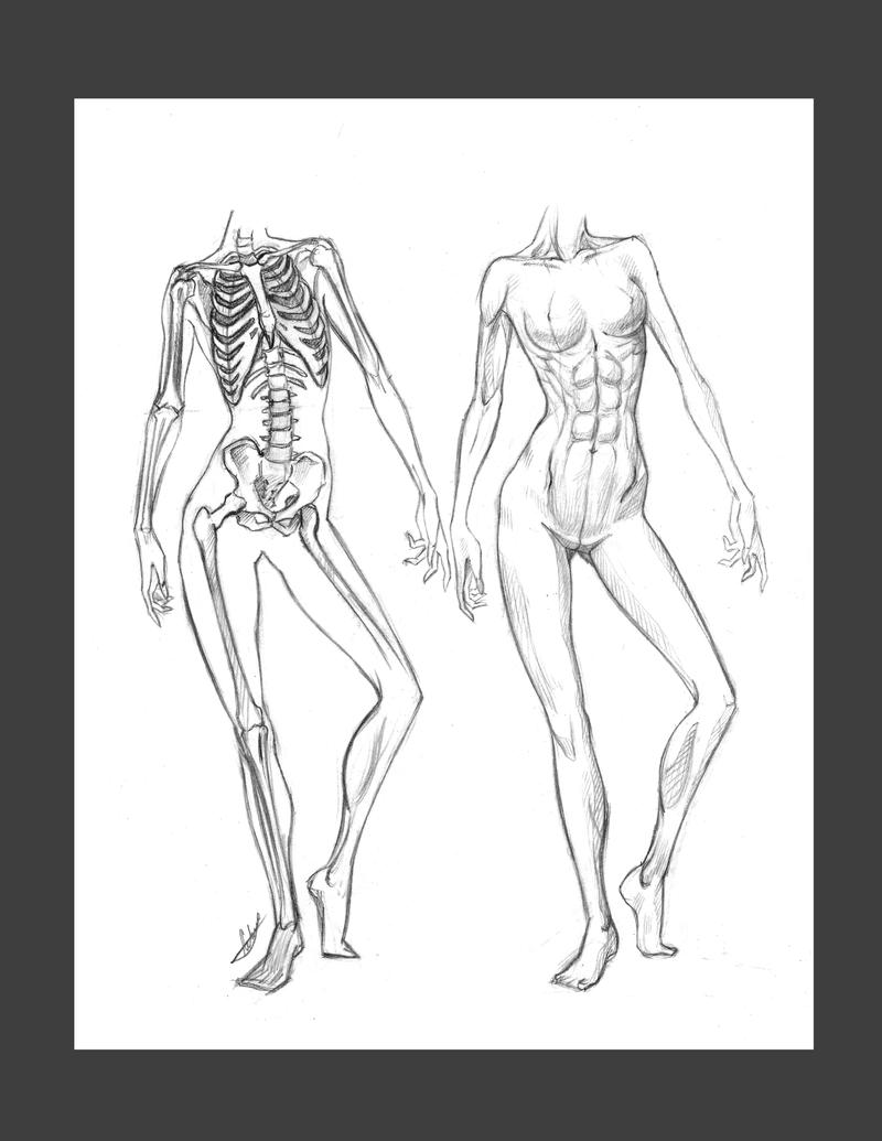 Skin and bones