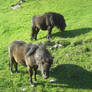 Geiranger, Norway 5