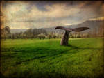 Whale Tail by Ler-ac