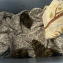 Five baby bunnies. Mother was dead. Read the desc