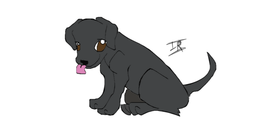 Black Lab Deviantart Black Lab 1 by irishrose7 on DeviantArt