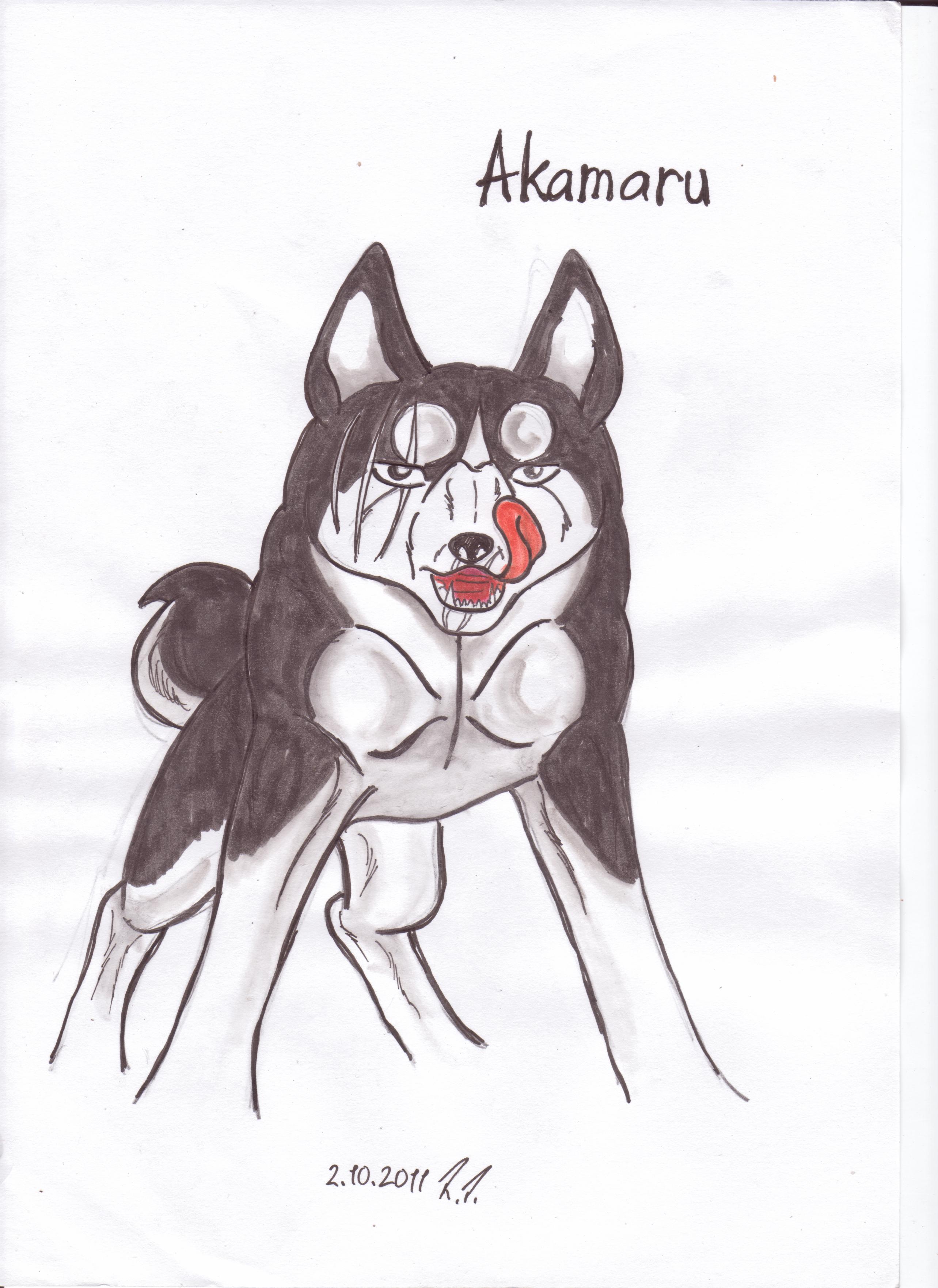 Akamaru, color by Kaibutsu14 on DeviantArt