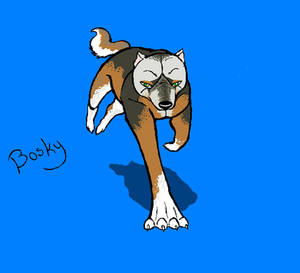 LOST09 Bosky