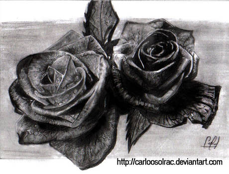 Black Roses