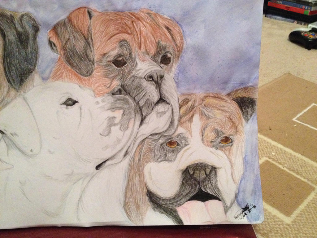Deviantart Boxer Dog Boxers by DuskHorse on DeviantArt