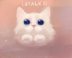 stalk you