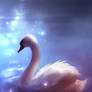 swan