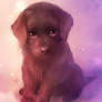 baillie