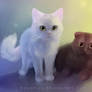 Aurora and Owl