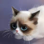 little grumpy things