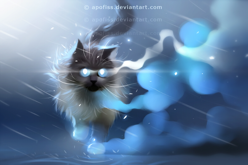 storm walk