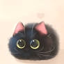 fluffy sushi