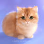 purr machine