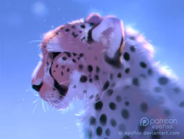 frosty cheetah