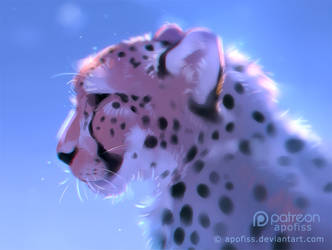 frosty cheetah by Apofiss