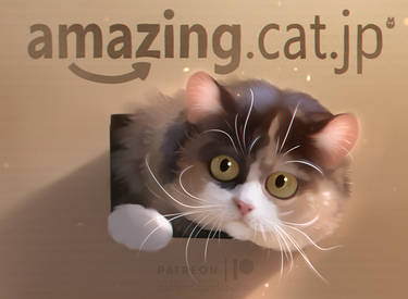 amazing.cat.jp