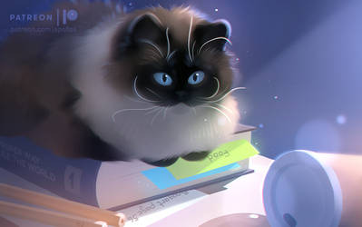 cat logic by Apofiss