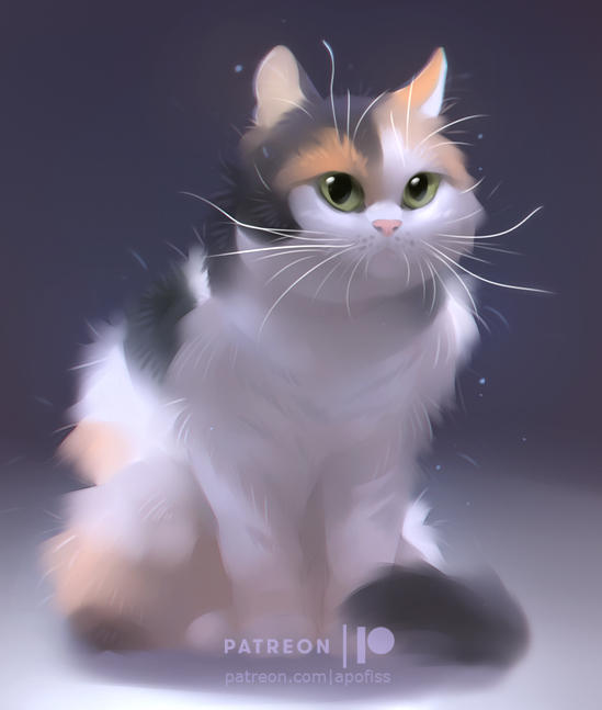 calico by Apofiss