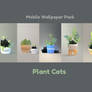 plant cats!