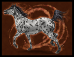 Appaloosa trot by Janaita