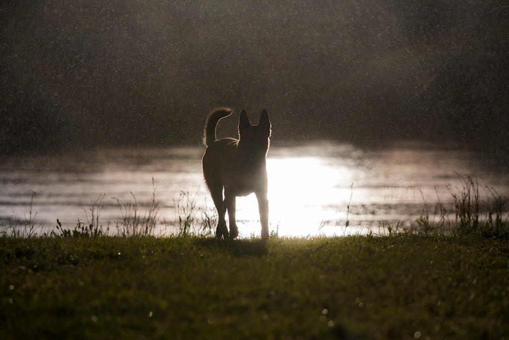 By the river