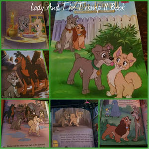 Lady and The Tramp ll book