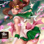 03 Sailor JUPITER
