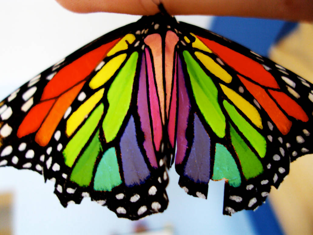 Кратко разноцветная бабочка. Олимпиус Инферно бабочка. Разноцветные бабочки. Радужная бабочка. Бабочки цветные.
