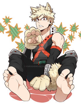 Bakugou Nya~