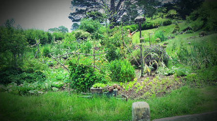 Hobbit's Garden