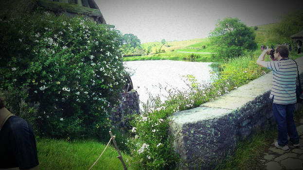 Hobbiton's Lake