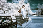 112/365: IR/Lev VIII - Bus stop by jblaschke