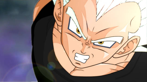 Vegeta Custom SSJ 4