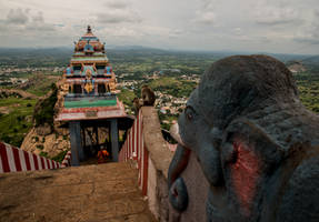 Beyond the Gopuram