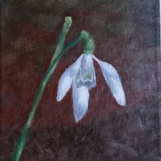 Snowdrop