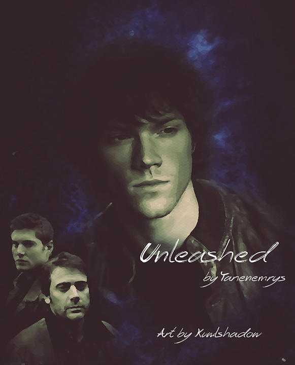 Unleashed Title Banner by dragonflyshell on DeviantArt