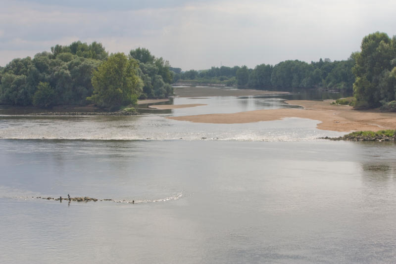 Mauve sur Loire25