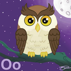 O Owl