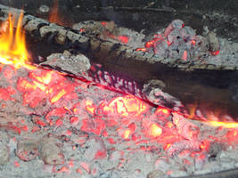 Burning Wood 1