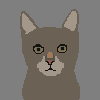 pixel cat