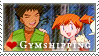 Pokemon: Gymshipping - anime