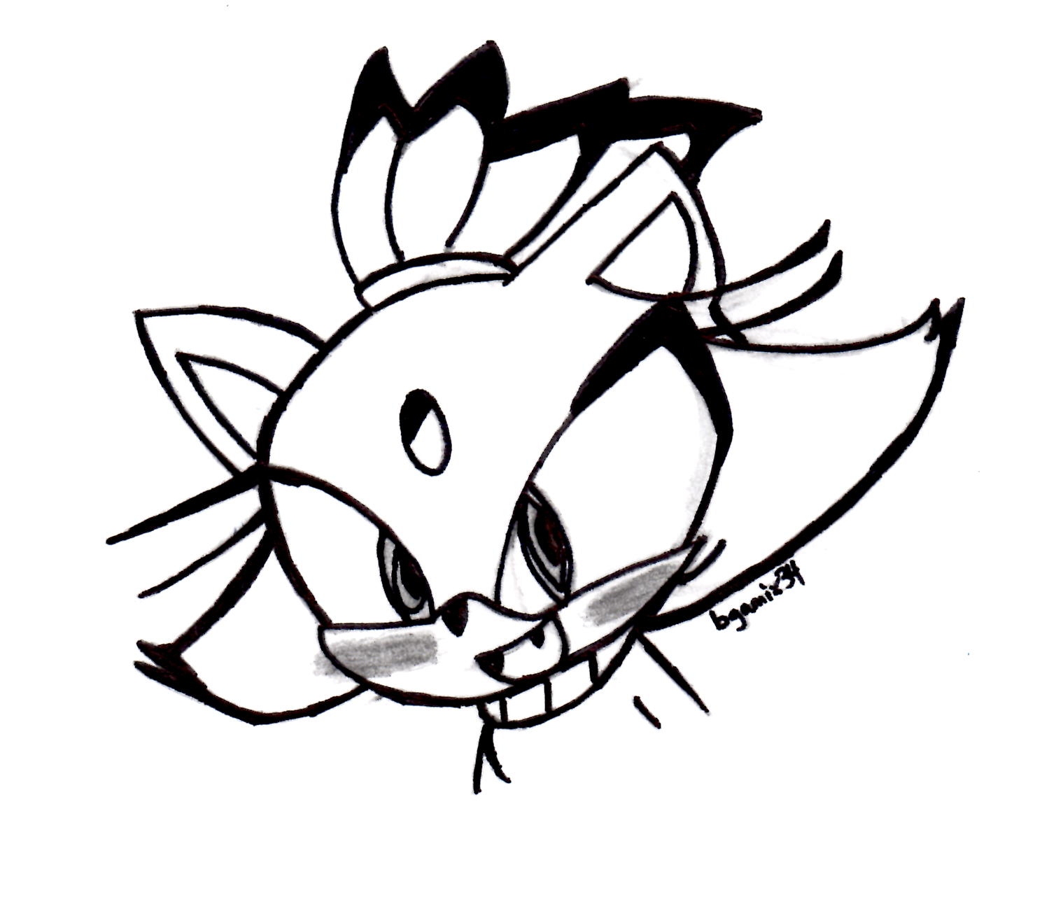 Blaze Head Sketch