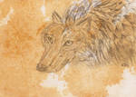 Wolf ACEO by Rianne2k8