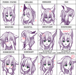 C: Ko Expression meme