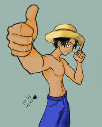 luffy, the pirate