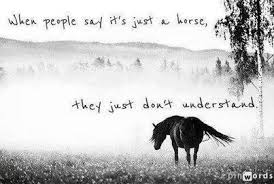 Inspirational horse quote 4