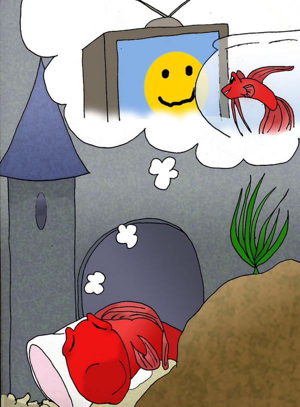 What do fish dream