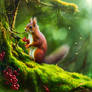 Squirrel (IV)